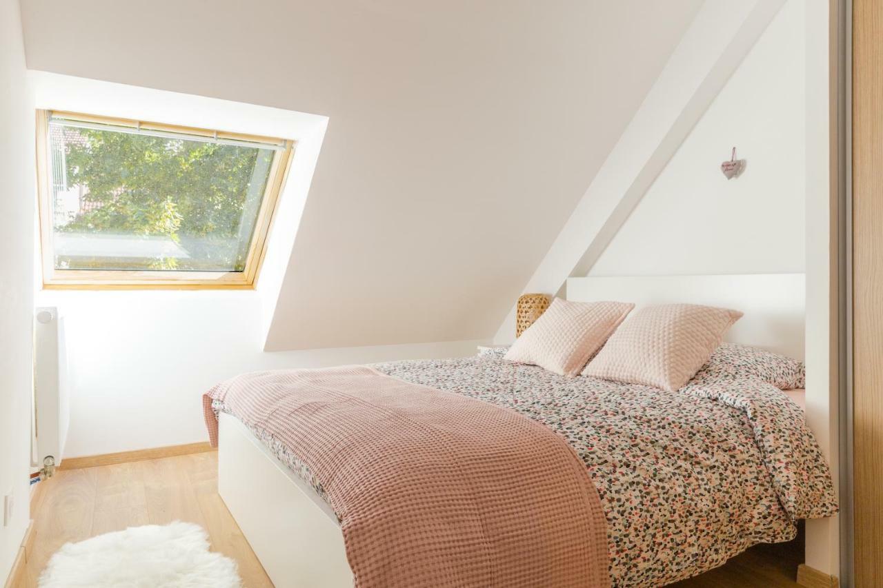 Appartement De Standing 8 Personnes Centre Historique De Colmar Esterno foto